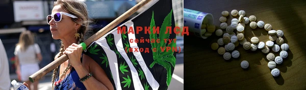 стаф Алзамай