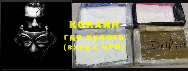 стаф Алзамай