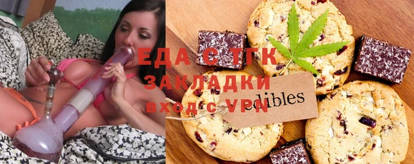 стаф Алзамай