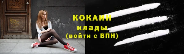 стаф Алзамай