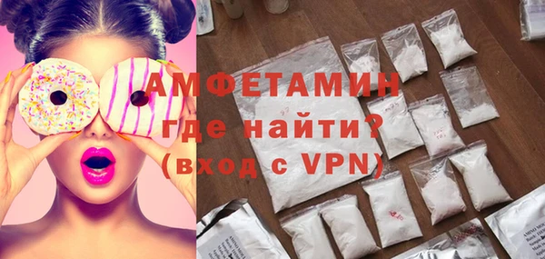 стаф Алзамай
