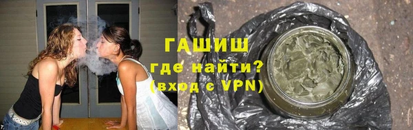 стаф Алзамай